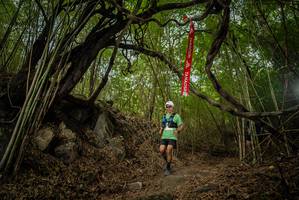 BIB: 
                            <button type="button" onclick="openModal(22178010)" class="btn btn-primary btn-sm float-right btn-popup" data-toggle="modal" data-target=".modal-high-quality">
                        <i class="fas fa-shopping-cart"></i> Add to Cart
                    </button>
                                            <button type="button" onclick="isThisMe(22178010, true)" class="btn btn-success btn-sm float-right btn-popup btn-isme hidden" data-toggle="tooltip" data-placement="bottom" title="นี่คือรูปของคุณใช่ไหม คลิกที่นี่เพื่อเอาเข้าอัลบั้ม">
                        <i class="fas fa-plus"></i> Add to album
                    </button>
                    <button type="button" onclick="isThisMe(22178010, false)" class="btn btn-warning btn-sm float-right btn-popup btn-isnotme hidden">
                        <i class="fas fa-ban"></i> Remove from album
                    </button>